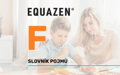 Funkční hra