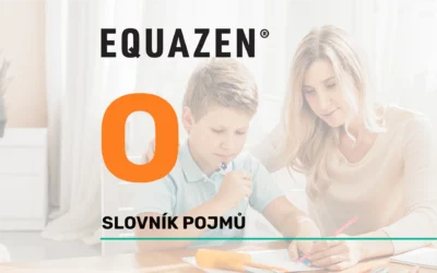 Obrazová paměť