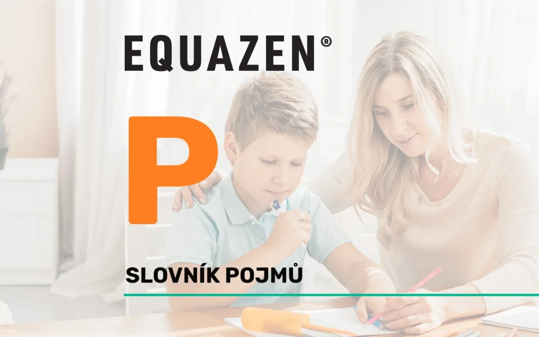 Paměť